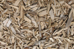 biomass boilers Dunton Patch